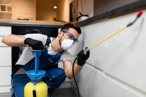 Best Pest Control Near Me  in Gorman, NC