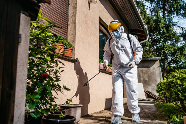 Best Ant Control Services  in Gorman, NC