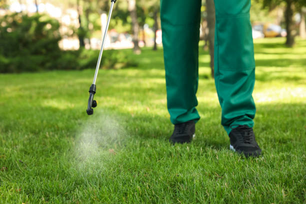 Best Termite Control Services  in Gorman, NC
