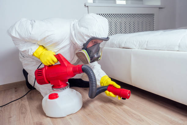 Best Best Pest Control Companies  in Gorman, NC
