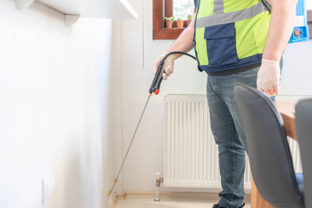 Best Wasp Removal Services  in Gorman, NC