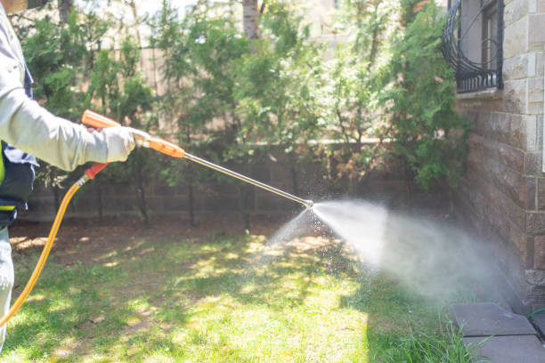 Best Emergency Pest Control  in Gorman, NC