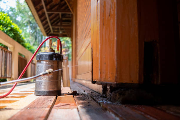 Insect Control in Gorman, NC