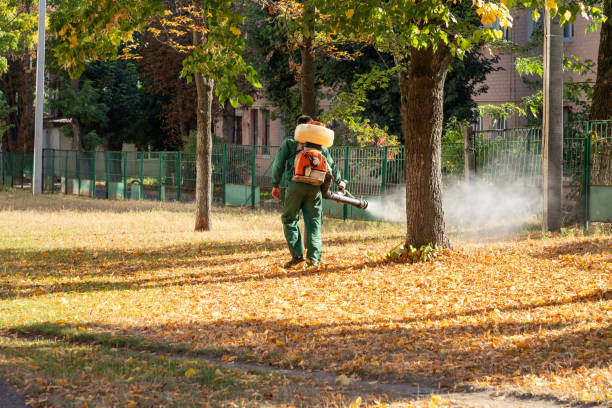  Gorman, NC Pest Control Pros
