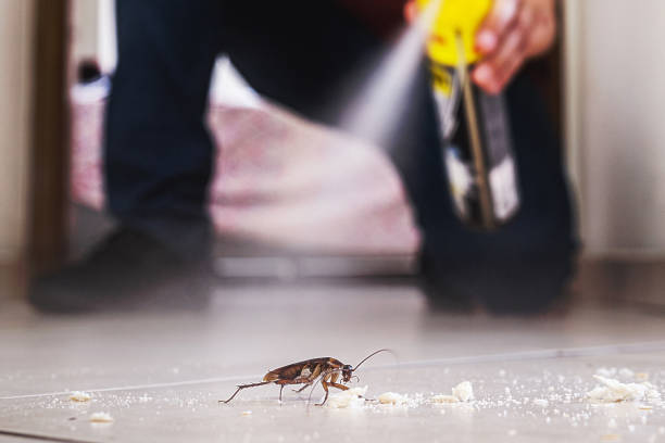 Flea Control Services in Gorman, NC