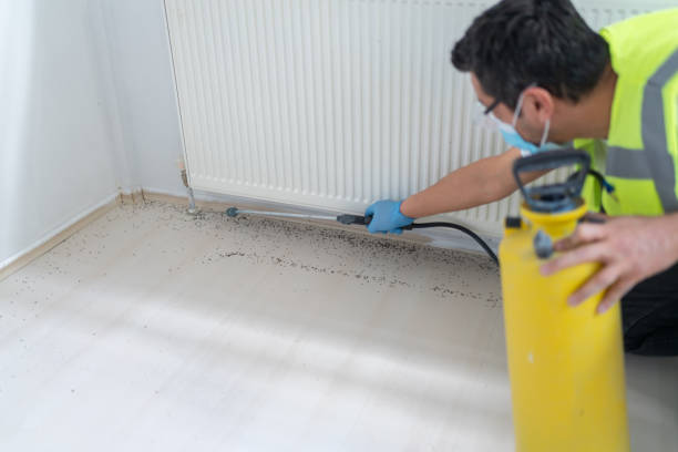 Best Affordable Pest Control Services  in Gorman, NC