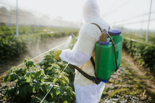 Best Mosquito Control Services  in Gorman, NC